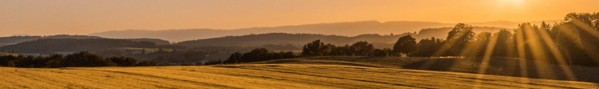 Farmland