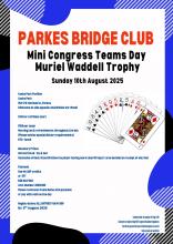 Parkes Mini Congress Teams Day